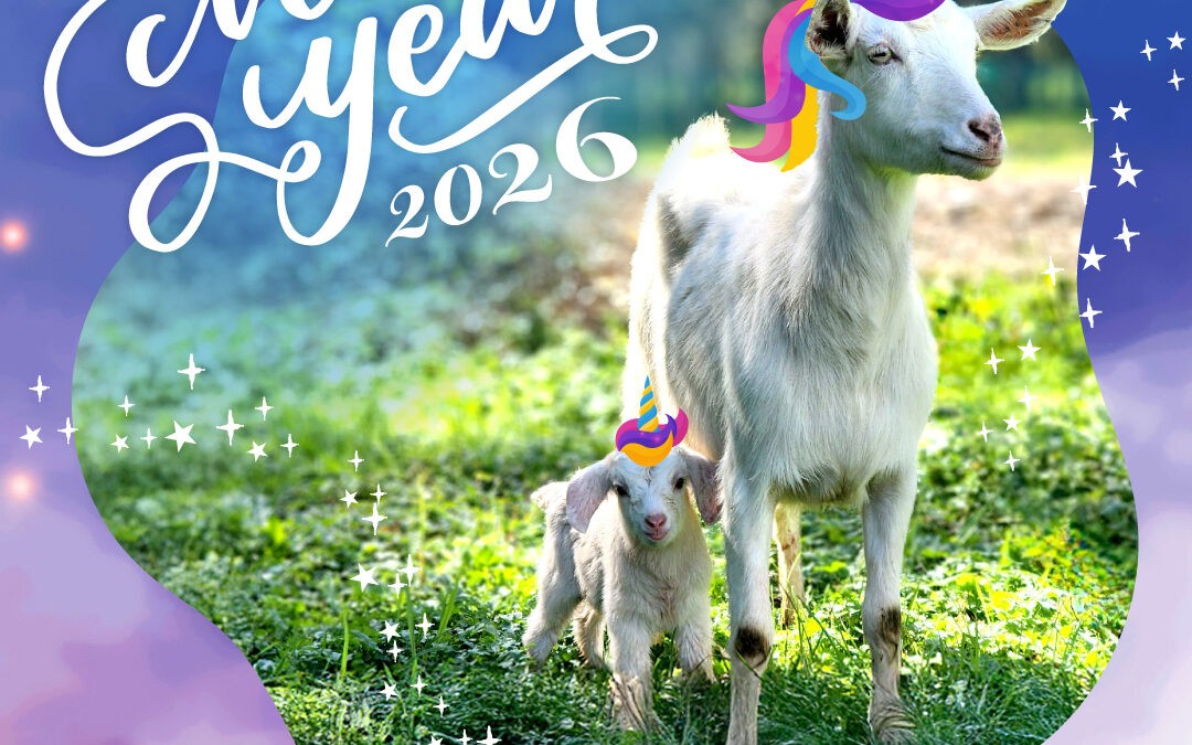 新年おめでとうございます