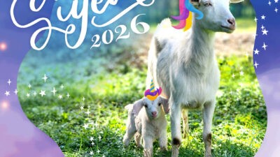 新年おめでとうございます