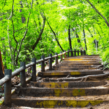 高尾山